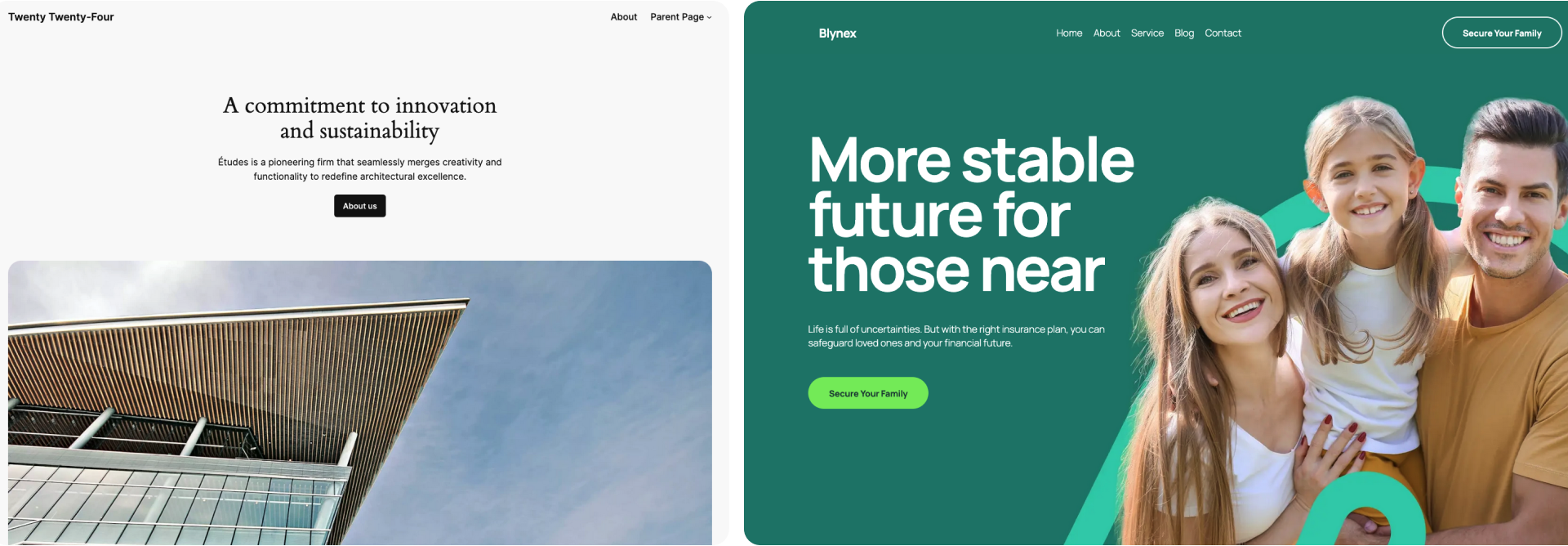 Comparison of two WordPress theme