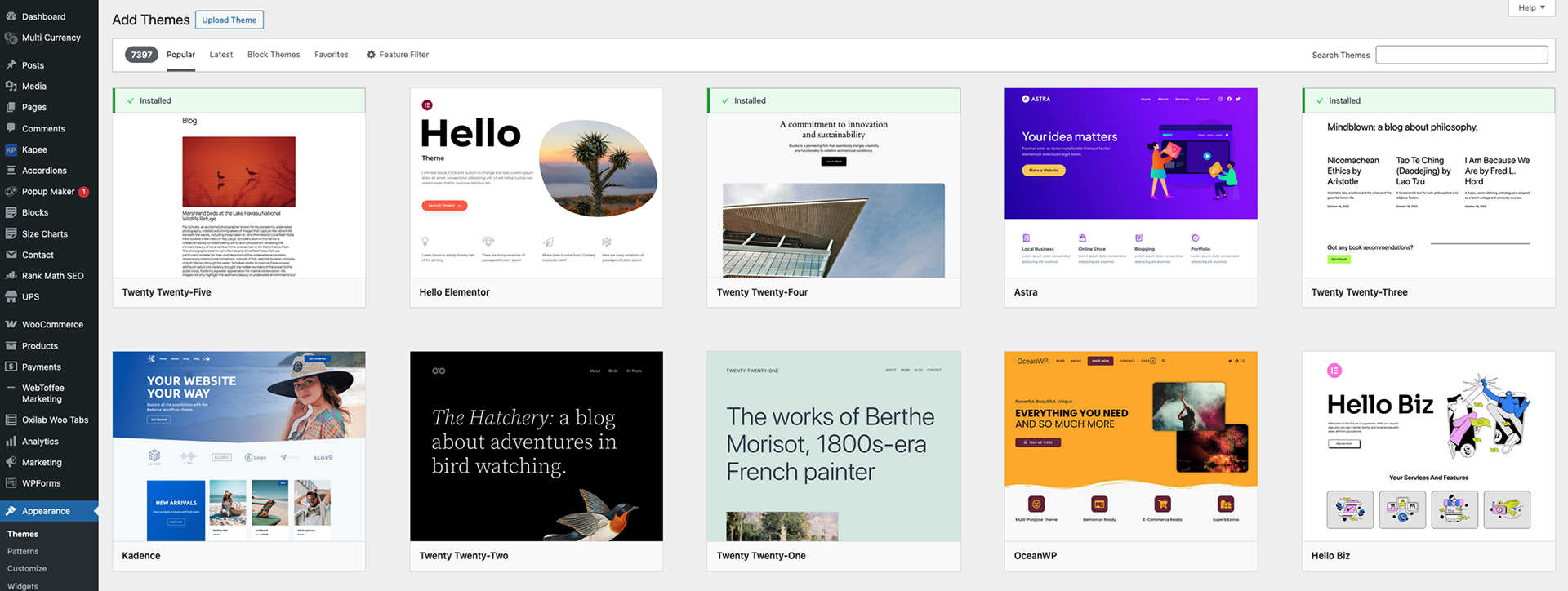 WordPress dashboard theme installation