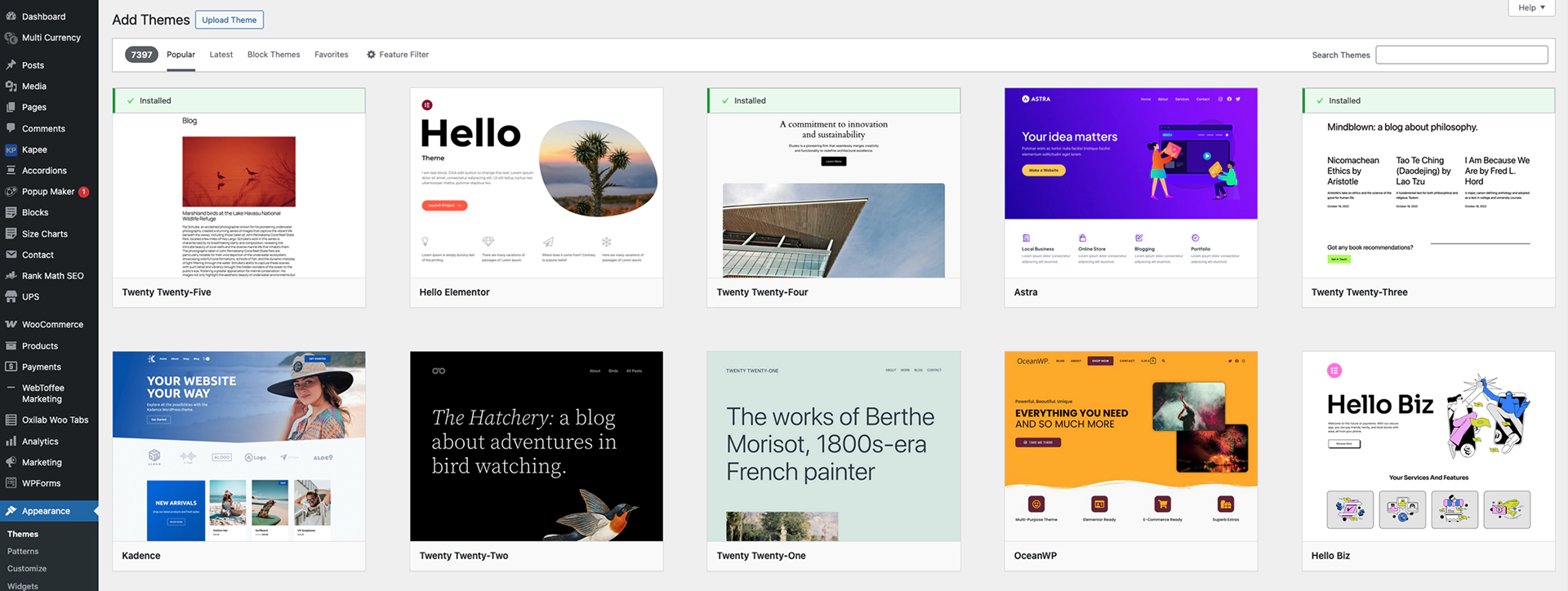 WordPress dashboard theme installation